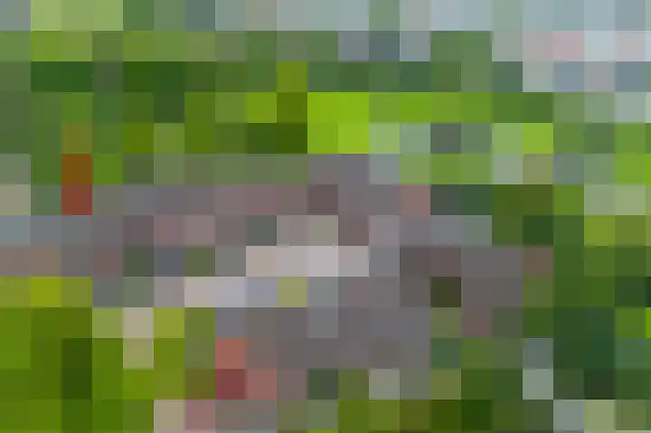 De Eiken 55 Bedum thumbnail 46