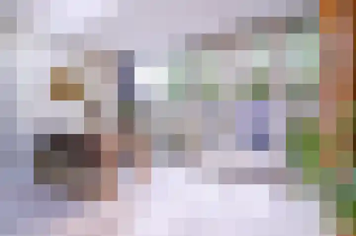 De Eiken 55 Bedum thumbnail 5