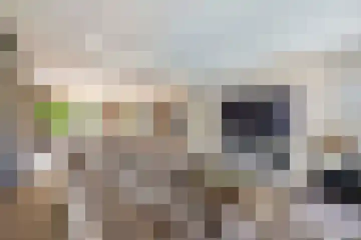 De Eilanden 9 Nuenen thumbnail 18
