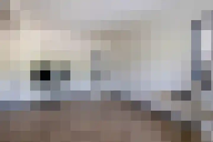 De Eilanden 9 Nuenen thumbnail 41