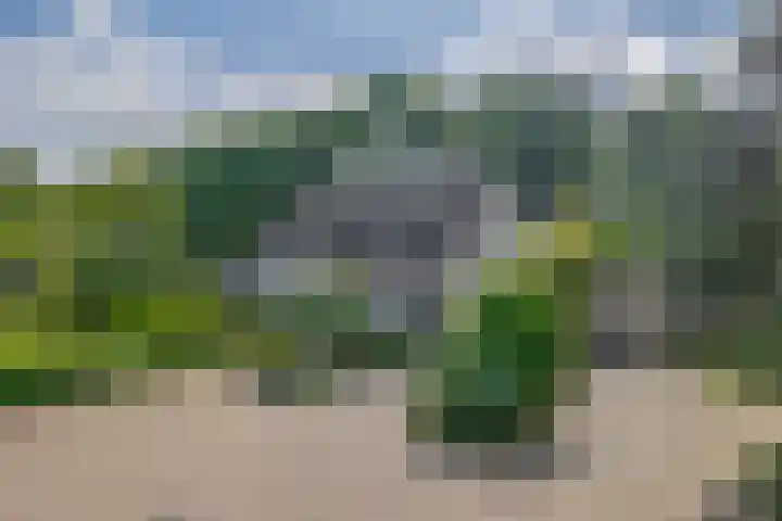 De Eilanden 9 Nuenen thumbnail 5