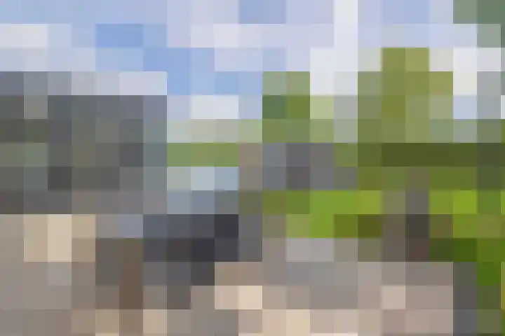 De Eilanden 9 Nuenen thumbnail 64