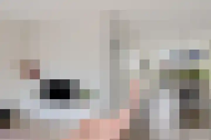 De Ekster 5 Joure thumbnail 14