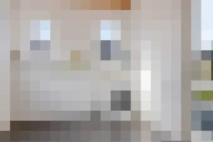De Ekster 5 Joure thumbnail 20