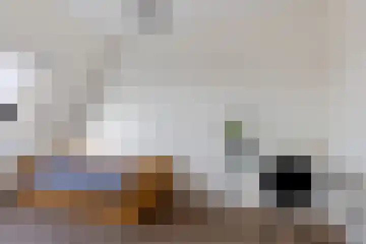 De Ekster 5 Joure thumbnail 24