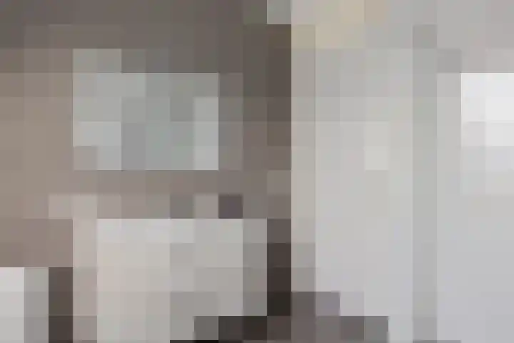 De Ekster 5 Joure thumbnail 26