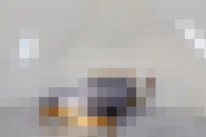 De Ekster 5 Joure thumbnail 30