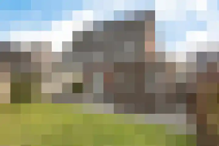 De Ekster 5 Joure thumbnail 33