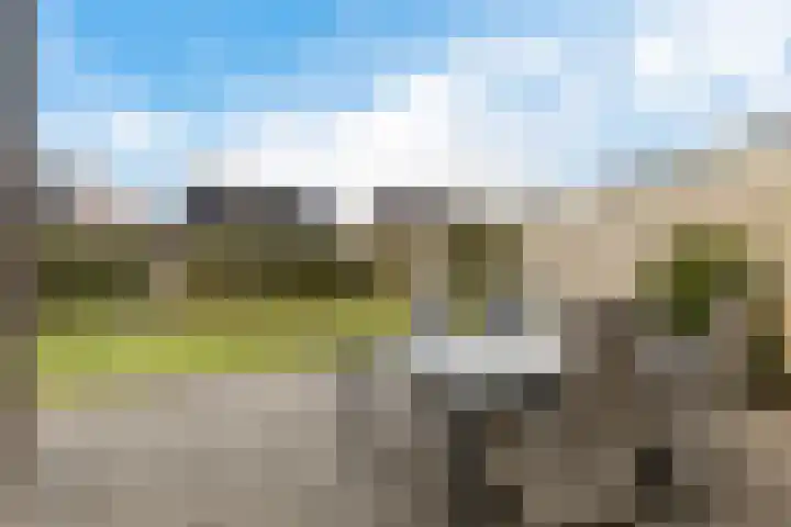 De Ekster 5 Joure thumbnail 36