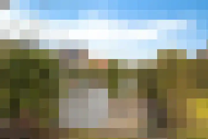 De Ekster 5 Joure thumbnail 38
