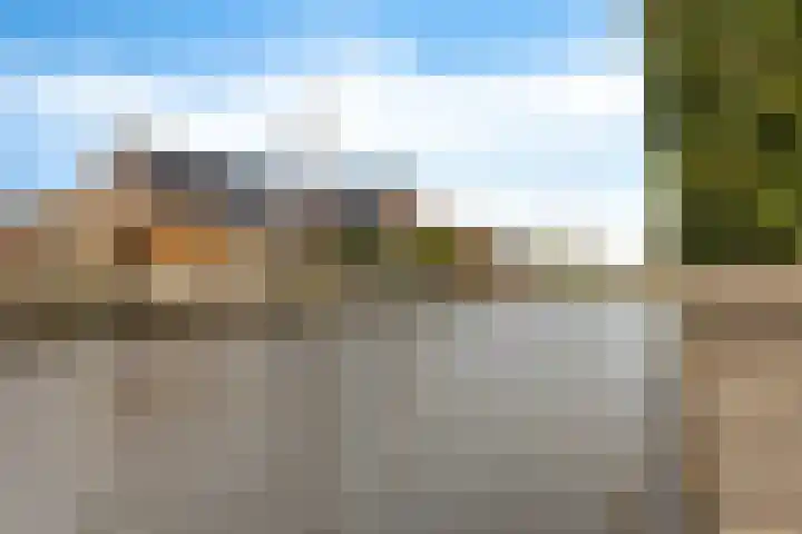 De Ekster 5 Joure thumbnail 40
