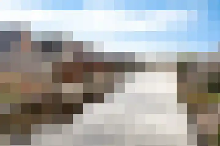 De Ekster 5 Joure thumbnail 41