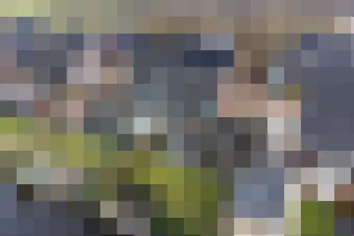 De Ekster 5 Joure thumbnail 42