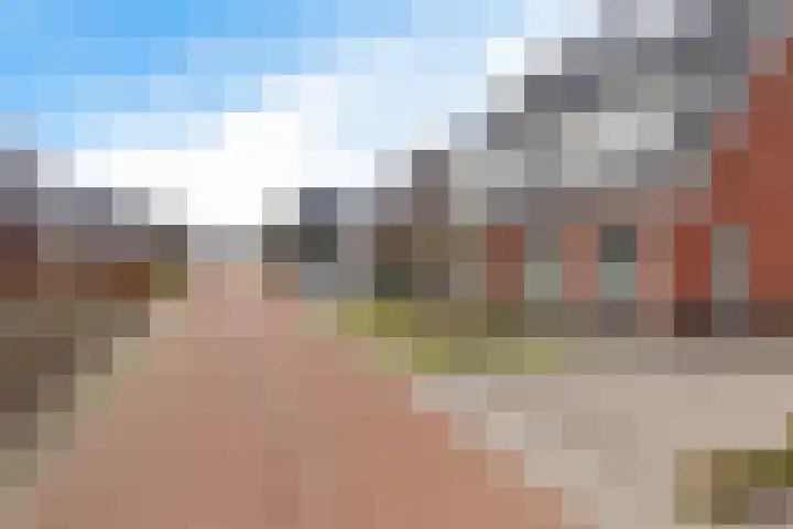De Ekster 5 Joure thumbnail 44