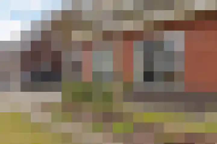 De Ekster 5 Joure thumbnail 45