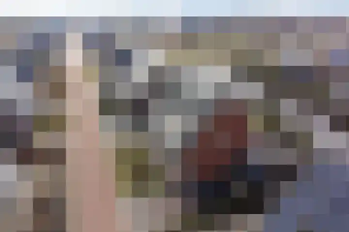 De Ekster 5 Joure thumbnail 48