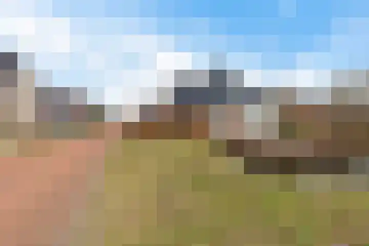De Ekster 5 Joure thumbnail 50