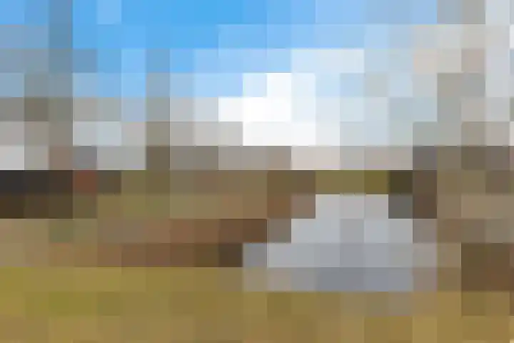 De Ekster 5 Joure thumbnail 51