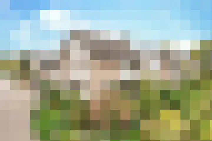 De Elders 10 in Diessen