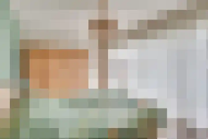 De Elders 10 Diessen thumbnail 24