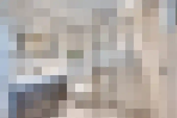 De Elders 10 Diessen thumbnail 27