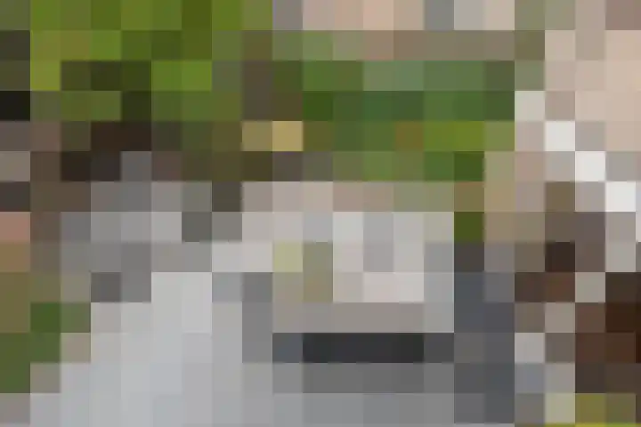 De Elders 10 Diessen thumbnail 31