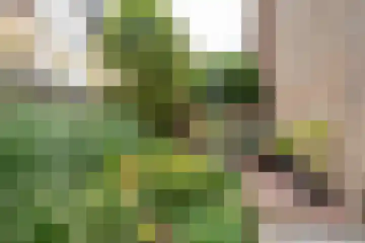 De Elders 10 Diessen thumbnail 38