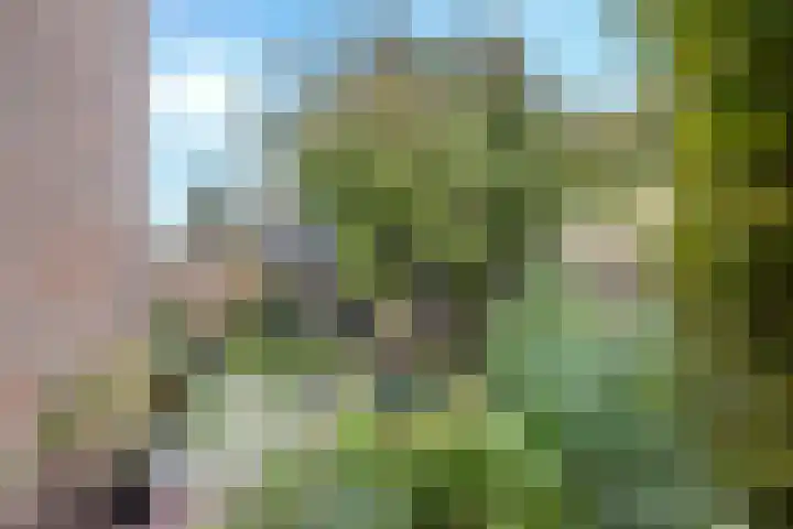 De Elders 10 Diessen thumbnail 39