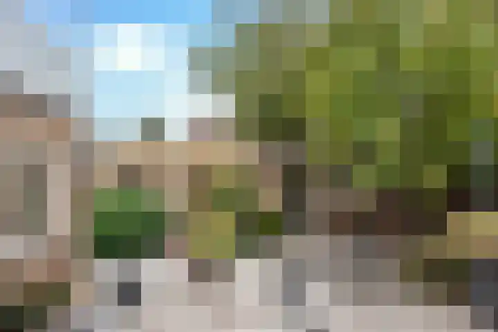 De Elders 10 Diessen thumbnail 41