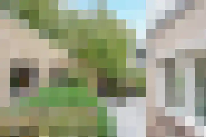 De Elders 10 Diessen thumbnail 44