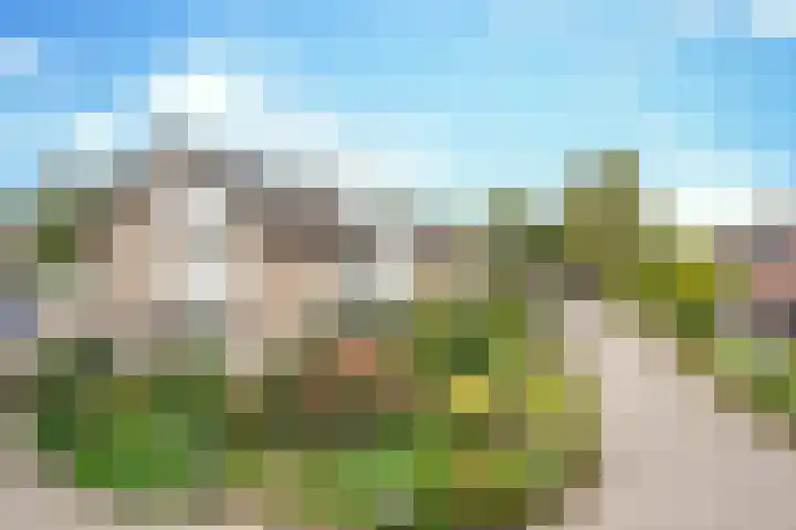 De Elders 10 Diessen thumbnail 6