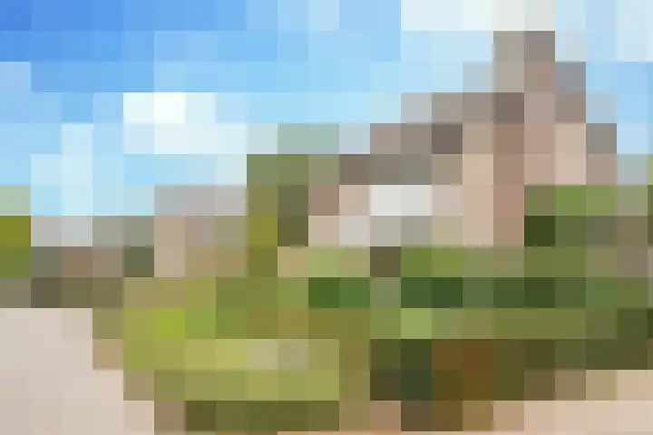 De Elders 10 Diessen thumbnail 7