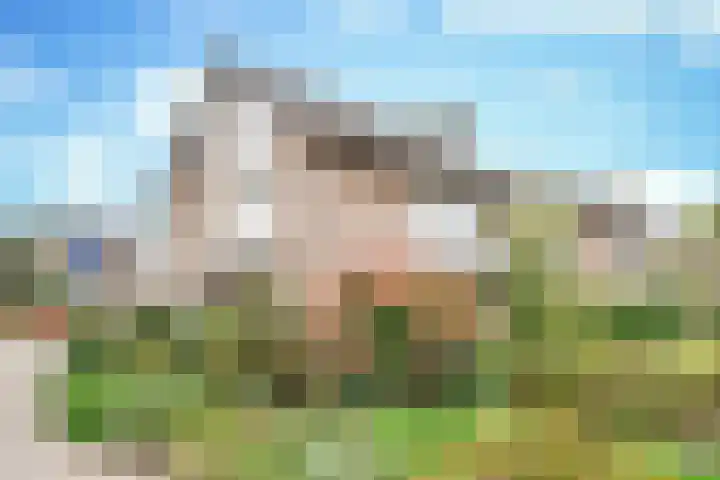 De Elders 10 Diessen thumbnail 8