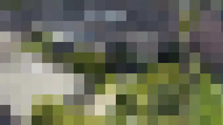 De Elders 35 Diessen