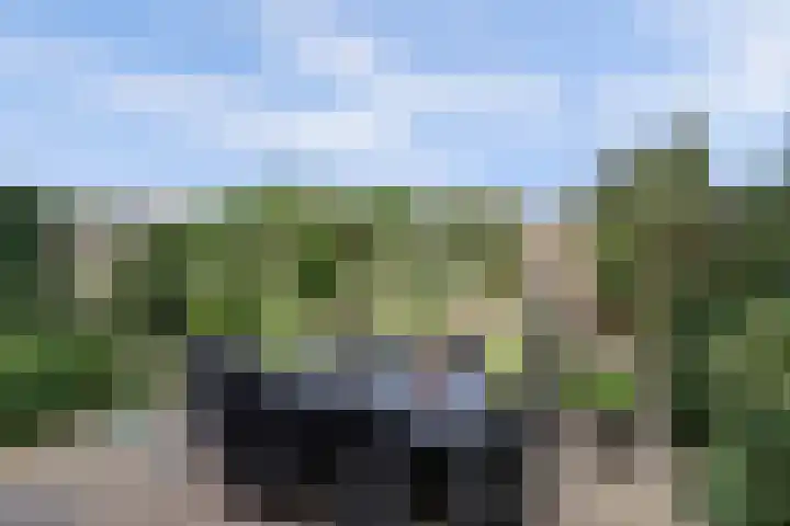 De Elders 35 Diessen thumbnail 37