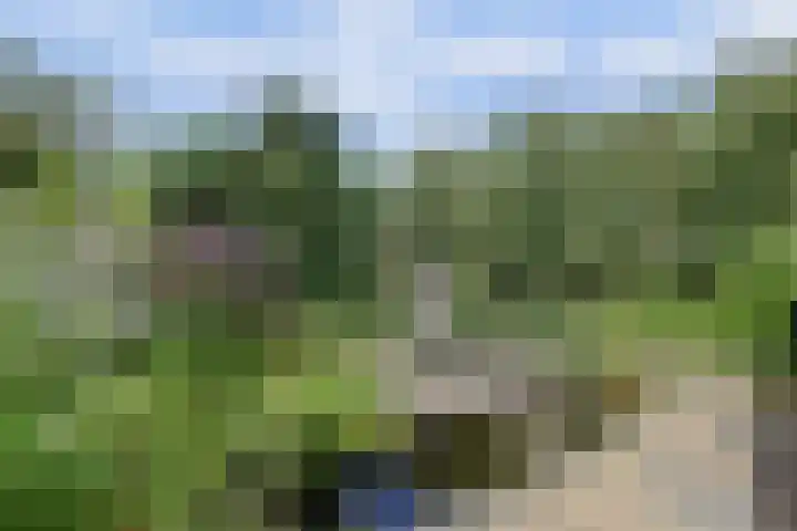 De Elders 35 Diessen thumbnail 39
