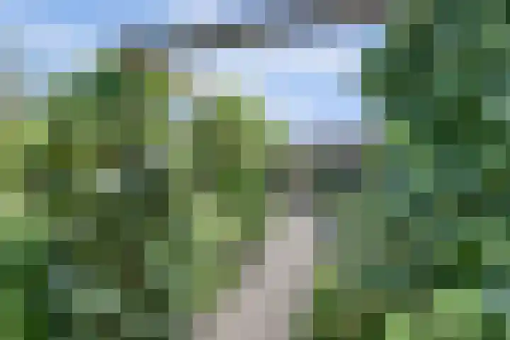 De Elders 35 Diessen thumbnail 41