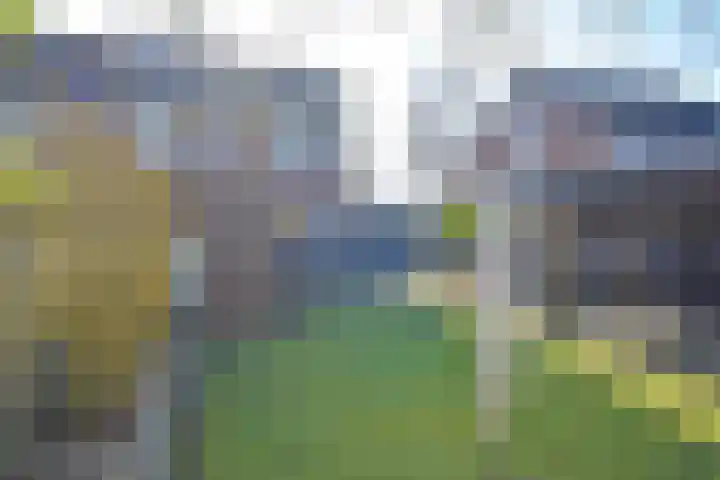 De Els 17 Burgum thumbnail 12