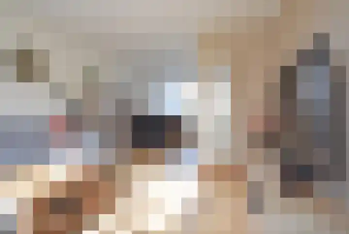 De Els 17 Burgum thumbnail 21