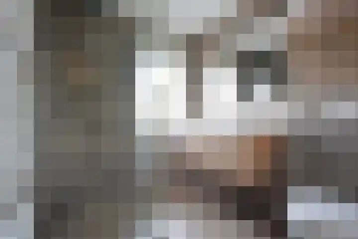 De Els 17 Burgum thumbnail 39