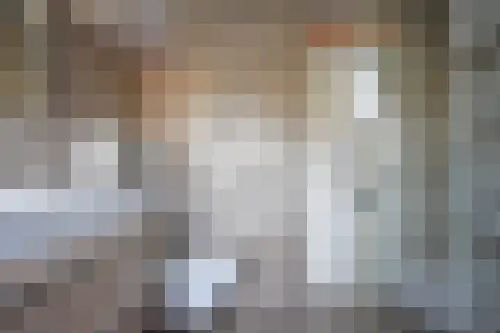 De Els 17 Burgum thumbnail 40