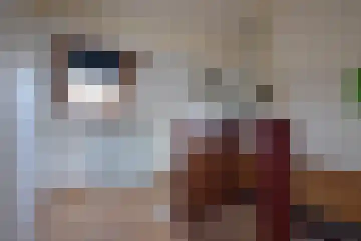De Els 17 Burgum thumbnail 42