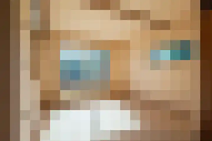 de Els 2 Didam thumbnail 12