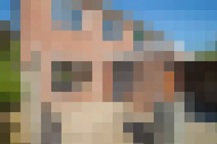 de Els 2 Didam thumbnail 16
