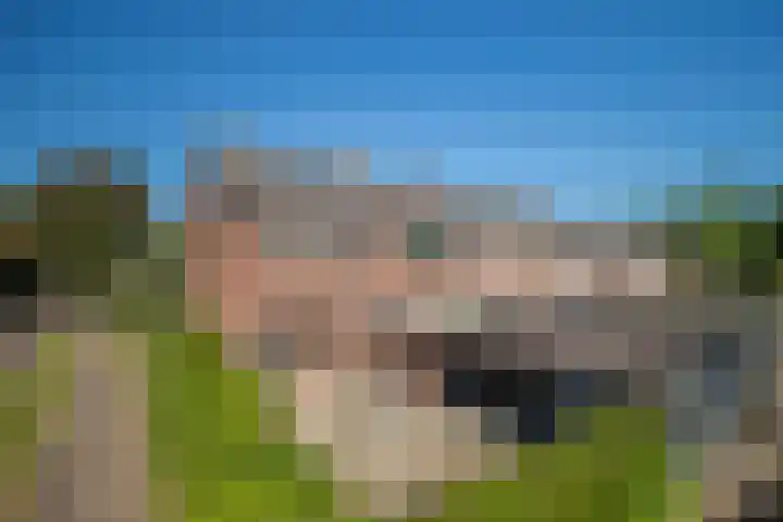 de Els 2 Didam thumbnail 21