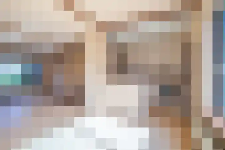 de Els 2 Didam foto 3