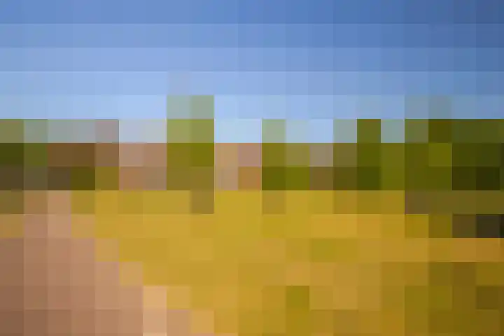 de Els 2 Didam thumbnail 36