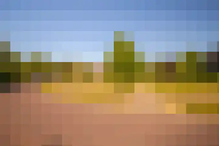 de Els 2 Didam thumbnail 37