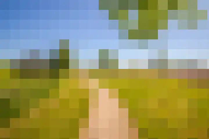 de Els 2 Didam thumbnail 38