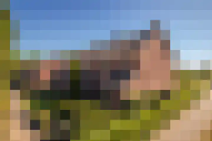 de Els 2 Didam thumbnail 45